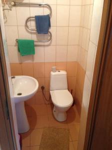 een kleine badkamer met een toilet en een wastafel bij Formula Plus Motel in Loetsk