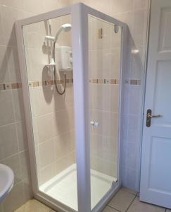 a shower with a glass door in a bathroom at Greenmile House, in Kilmeaden