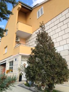 a christmas tree in front of a building at Apartmani Nevena in Brodarica