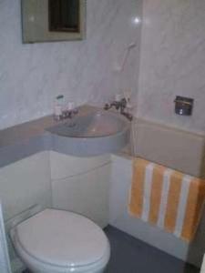 een badkamer met een wit toilet en een wastafel bij Ikawa Ryokan in Hiroshima