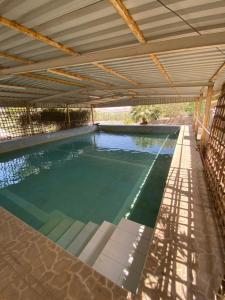 an indoor swimming pool with a pergola at UAE farm in Qūr