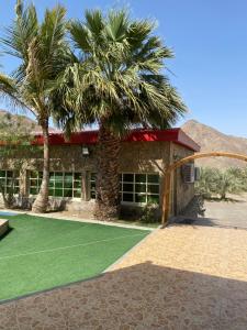 a building with a green lawn in front of a palm tree at UAE farm in Qūr
