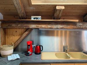 eine Küche mit Spüle und Arbeitsplatte in der Unterkunft LA JOLIE BERGERE in Morzine
