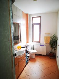 Un baño con lavabo, inodoro y ventana. en Casa Marius, en Brasov