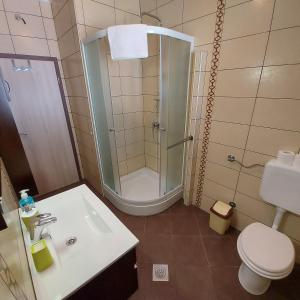 a bathroom with a shower and a sink and a toilet at Apartments Batistić in Supetarska Draga +47 photos