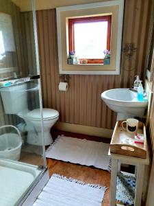 a bathroom with a toilet and a sink at Kattekwaad Accommodation in Kaapsehoop +30 photos