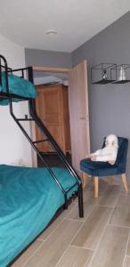 chez Chantal - appartement privatif في Yvoir: كلب يستلقي على كرسي في غرفة مع أسرة بطابقين