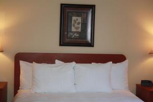 Łóżko lub łóżka w pokoju w obiekcie University of Alberta - Hotel