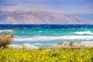 a view of the ocean with mountains in the background at Nikos Ikies in Theologos
