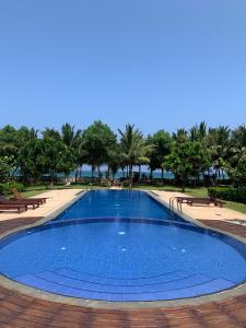 a large blue swimming pool with trees in the background at Ralla Nilaveli in Nilaveli