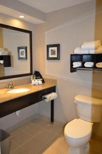 a bathroom with a toilet and a sink and a mirror at Holiday Inn Express Hotels Biddeford, an IHG Hotel in Biddeford