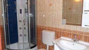 a bathroom with a shower and a toilet and a sink at Apartments Marović in Luštica +57 photos