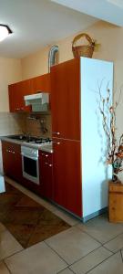 Kuchyň nebo kuchyňský kout v ubytování Apartment Molnar