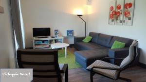 uma sala de estar com um sofá e uma televisão em Gîte L'échappée Belle ! em Saint-Aignan