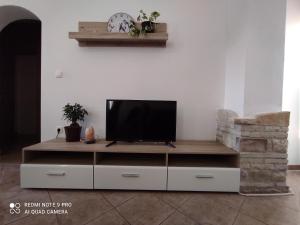 Μια τηλεόραση ή/και κέντρο ψυχαγωγίας στο Apartment Zelena oaza Sisan 75 m2 - 2 bedrooms