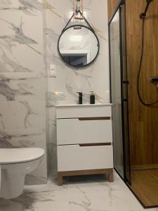 a bathroom with a sink and a toilet and a mirror at Apartament Fordon przy Onkologii in Bydgoszcz