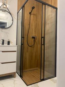 a shower in a bathroom with a wooden wall at Apartament Fordon przy Onkologii in Bydgoszcz