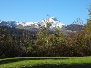 a snow covered mountain in front of a green field at Haus Sonnegg in Fieberbrunn