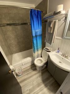 a bathroom with a toilet and a sink and a shower at The Pines Motel and Cottages in Rustico