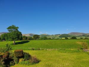 a green field with a tree and mountains in the background at Curlew's Nest in Ruthin +6 photos