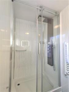 a shower with a glass door in a bathroom at Curlew's Nest in Ruthin