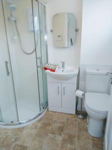 a bathroom with a shower and a toilet and a sink at lovely 1 bedroom borders cottage in Town Yetholm