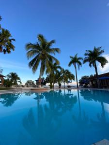 uma grande piscina com palmeiras ao fundo em Hotel Med Doradal em Doradal