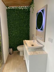 uma casa de banho com uma parede verde com um WC e lavatório em Cabaña miramar em Pereira