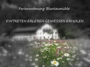 A garden outside Ferienwohnung Bluntaumühle