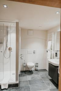 ein Bad mit einem WC, einem Waschbecken und einer Dusche in der Unterkunft Alpenwolke Appartements in Kempten
