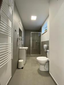 a bathroom with a toilet and a sink and a shower at Sulyom Panzió in Tiszafüred +32 photos