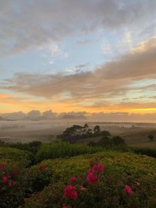 a view of a foggy field at sunset with pink flowers at Views to unwind - self contained unit w/king bed in Ruakaka