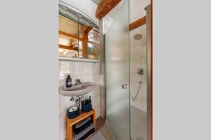 a bathroom with a sink and a shower at Modernes Landhaus mit Sauna in Hohen Pritz +14 photos
