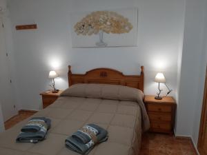 Postel nebo postele na pokoji v ubytování ALOJAMIENTO LA TERRAZA DE LUIS