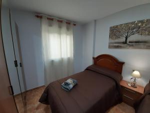 Postel nebo postele na pokoji v ubytování ALOJAMIENTO LA TERRAZA DE LUIS