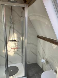 a bathroom with a glass shower and a toilet at B&B with or without De Schuur in Zierikzee +41 photos