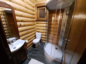 uma casa de banho com um WC, um chuveiro e um lavatório. em къщи за гости Под звездите em Pamporovo