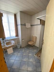Koupelna v ubytování Hotel Alpina