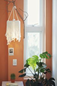 a plant sitting on a table next to a window at Cube homestay Phan Rang cách biển 300m to the beach in Phan Rang