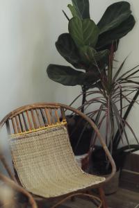 a rattan chair sitting next to a potted plant at Cube homestay Phan Rang cách biển 300m to the beach in Phan Rang