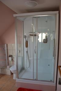 La salle de bains est pourvue d'une cabine de douche et de toilettes. dans l'établissement Les Talents Aiguilles, à Breuil-sur-Vesle