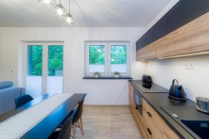 Kuchnia lub aneks kuchenny w obiekcie APARTAMENTY NA SKARPIE
