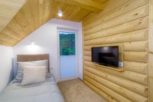 Telewizja i/lub zestaw kina domowego w obiekcie APARTAMENTY NA SKARPIE