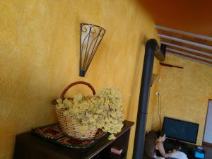 a basket of flowers on a table next to a wall at Ca lHorténsia in Rourell