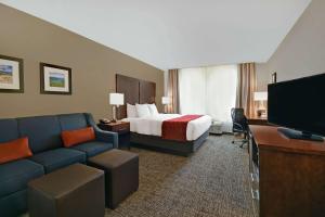 ein Hotelzimmer mit einem Bett, einem Sofa und einem TV in der Unterkunft Comfort Inn & Suites Wilton in Wilton