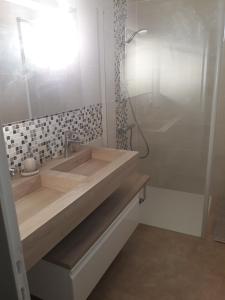uma casa de banho com um lavatório e um chuveiro em Comme à la maison prés des châteaux de la Loire em Feings