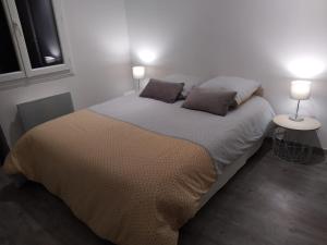 1 dormitorio con 1 cama grande y 2 lámparas en Jolie maison en tuffeau dans le centre de Saumur, en Saumur