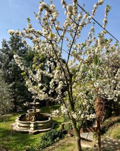 uma árvore com flores brancas ao lado de uma fonte em Torre de Salis em Gussago