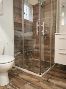 ein Bad mit einer Dusche und einem WC in der Unterkunft Villa "La Crau" in Arles