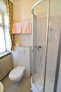 a bathroom with a toilet and a shower at Landhotel Hohmann in Hilders